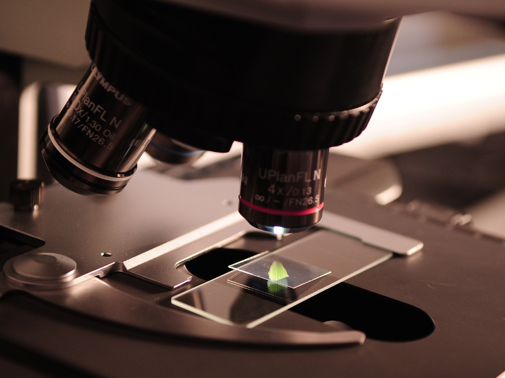 pexels science pexels science