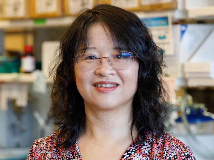 Ping Yi, assistant professor of biology and biochemistry Ping Yi, assistant professor of biology and biochemistry