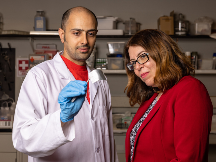 Professor Haleh Ardebili and Navid Khiabani, a UH graduate research assistant, discussing bendable batteries.