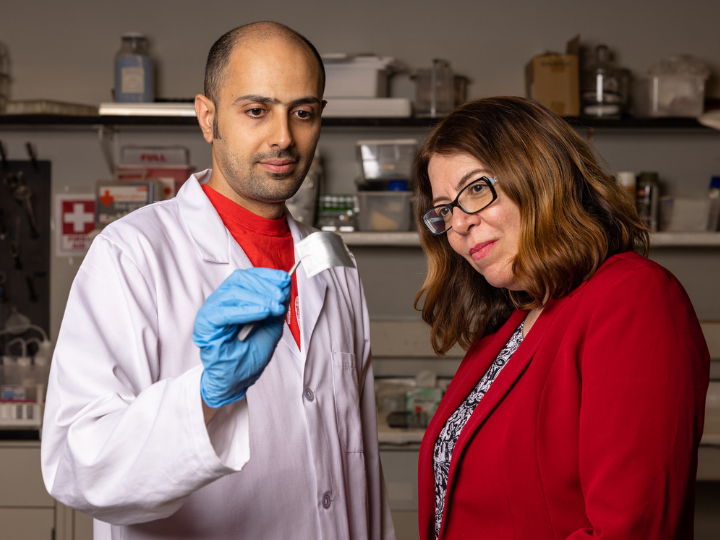 Dr. Haleh Ardibili and a student discussing bendable batteries at the UH research lab.