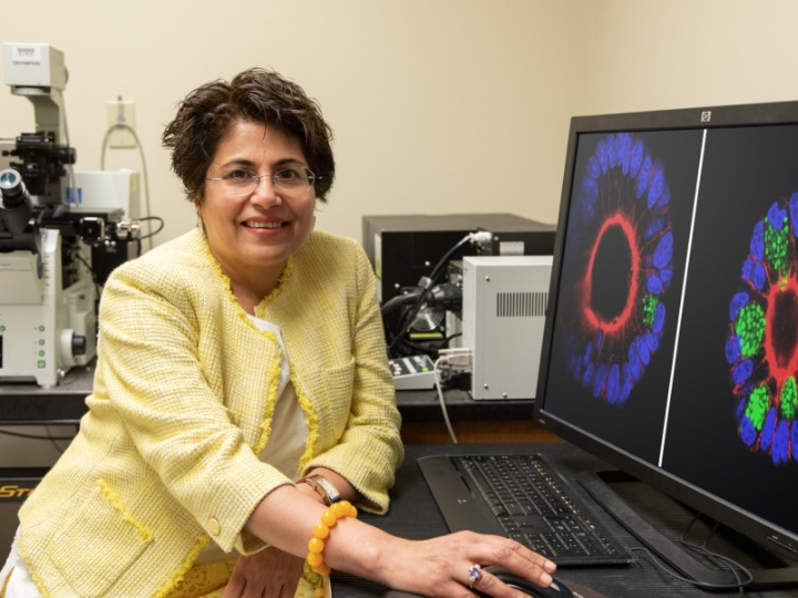 UH biologist Seema Khurana UH biologist Seema Khurana