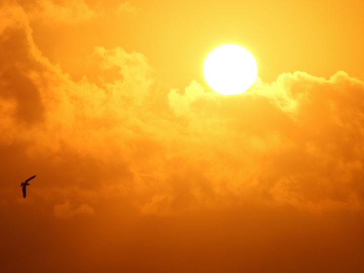 The sun The sun