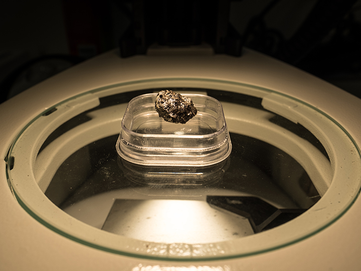 Tissint meteorite Tissint meteorite