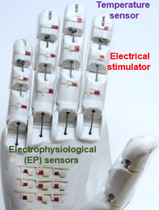 Yu Robotic Hand Yu Robotic Hand