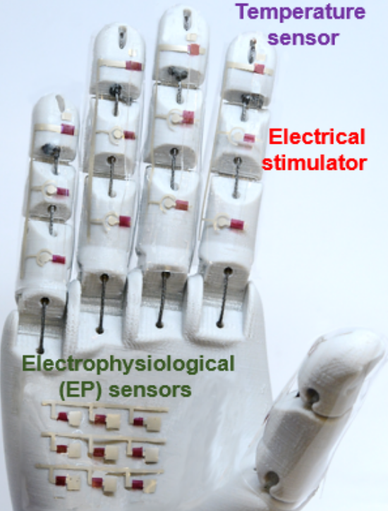 Yu Robotic Hand