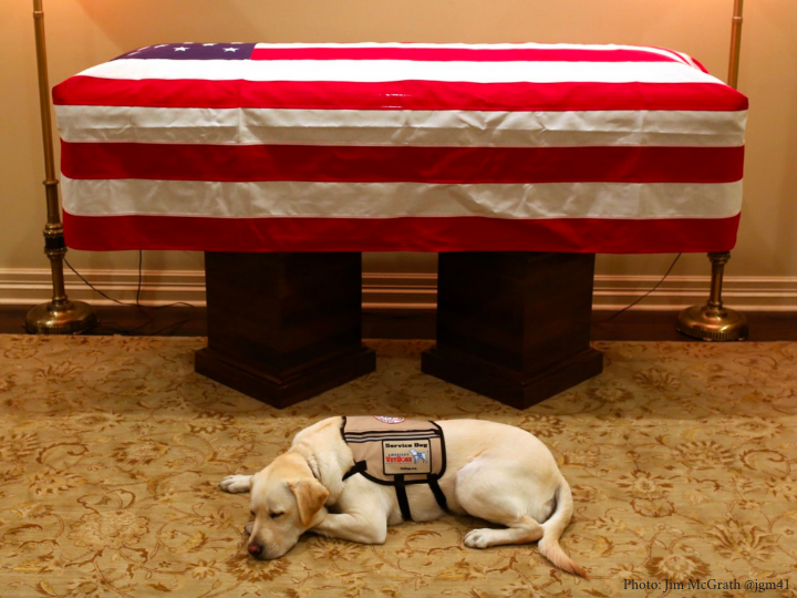 Sully in front of the casket of George H.W. Bush