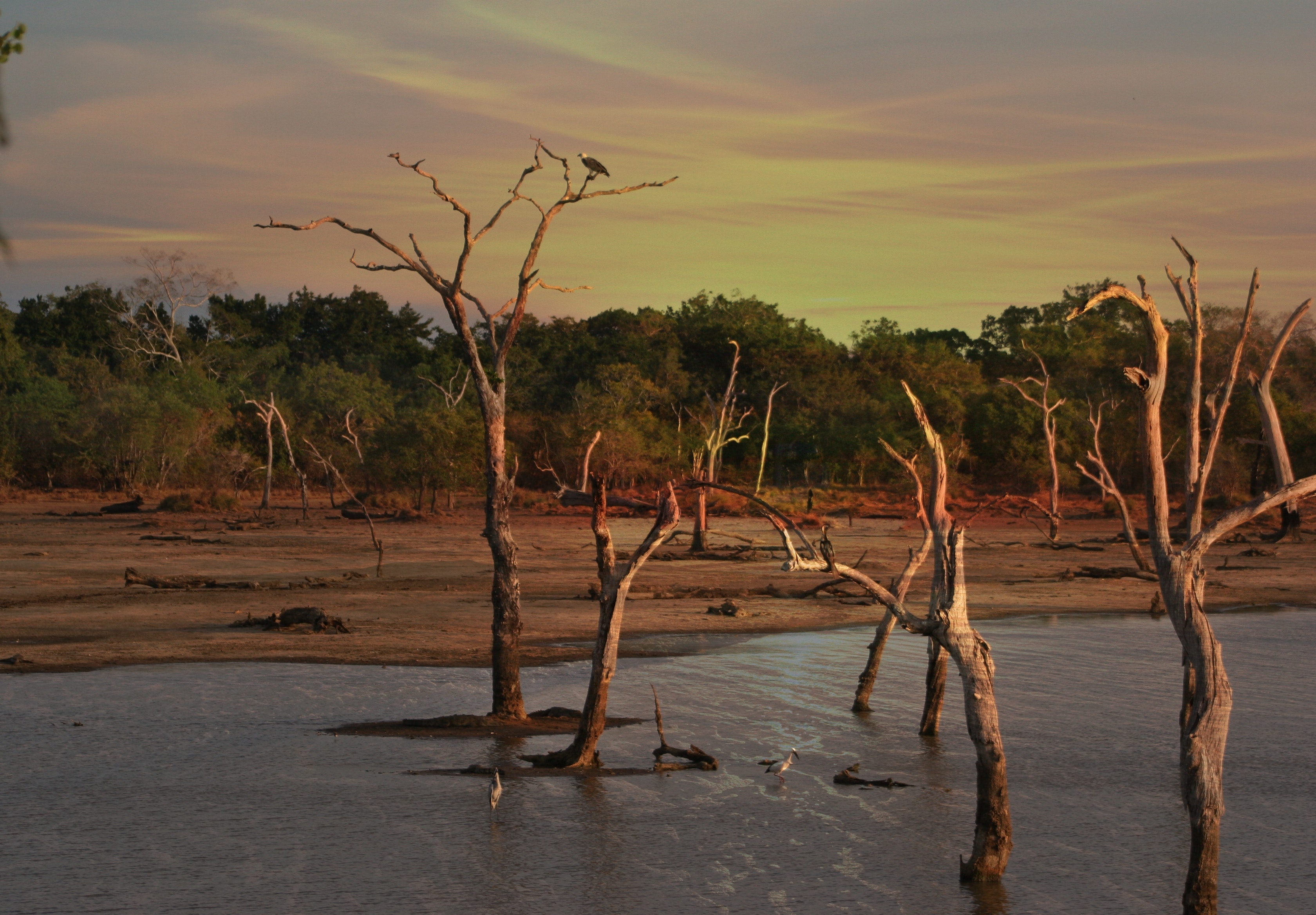 Dried up beach or lake