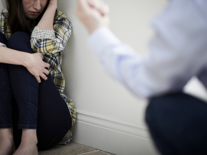 Domestic violence Domestic violence