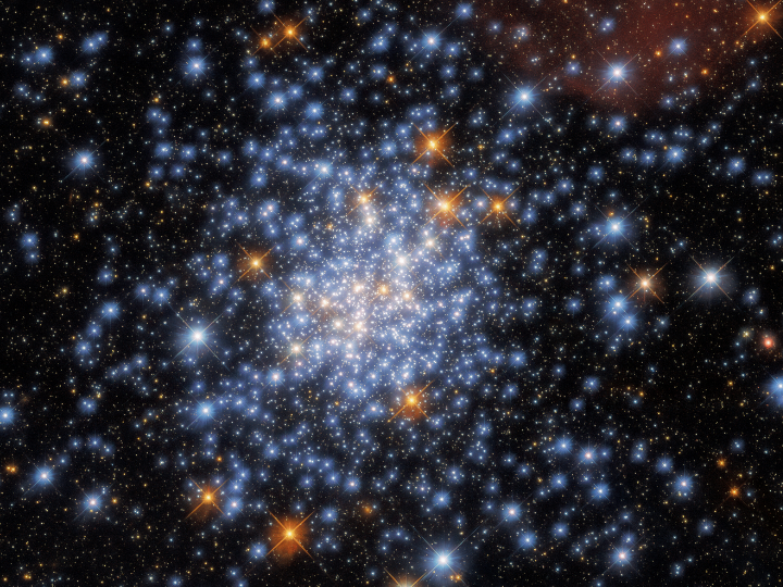 stars stars