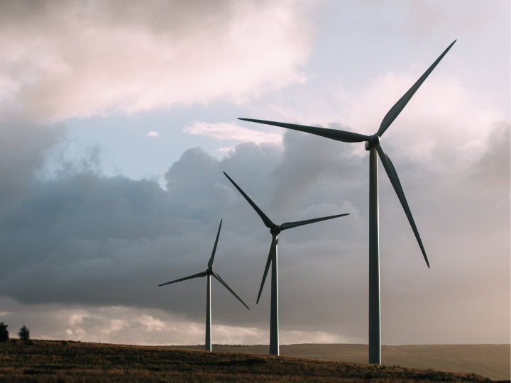 Photo of wind turbines creating clean energy