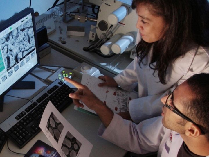 researchers researchers