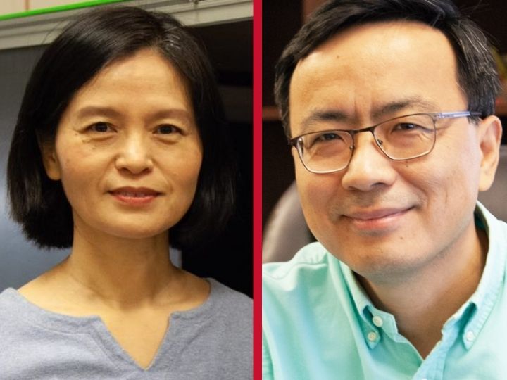 Wang and Xu Wang and Xu