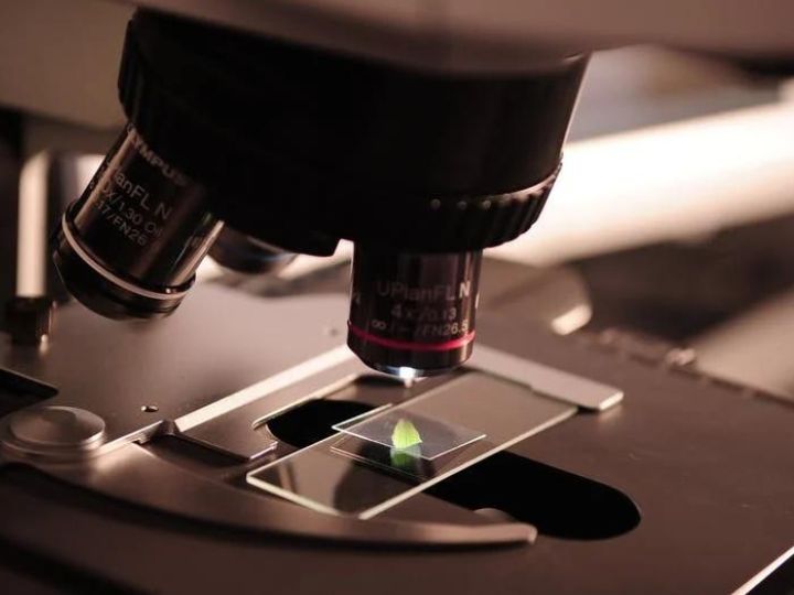 microscope microscope