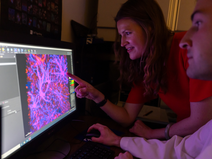 anna kruyer looks at brain images