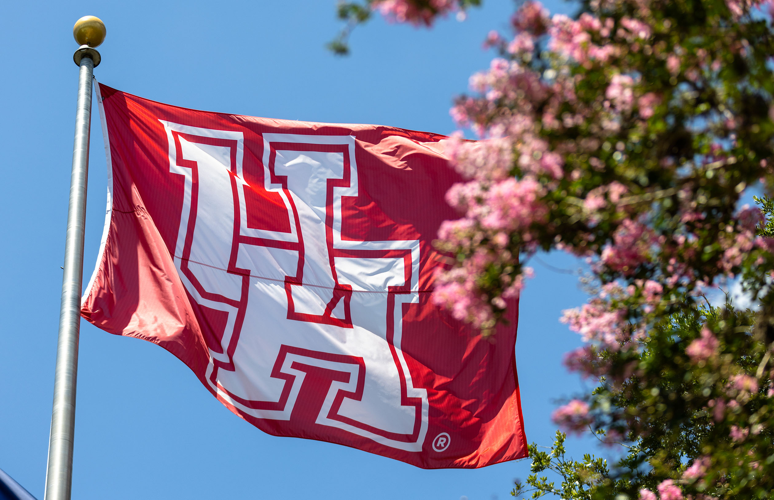 UH flag on campus
