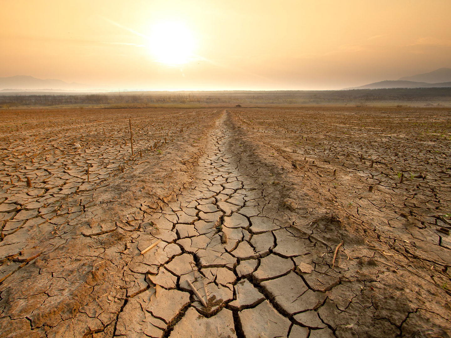 Getty image of a field in extreme drought