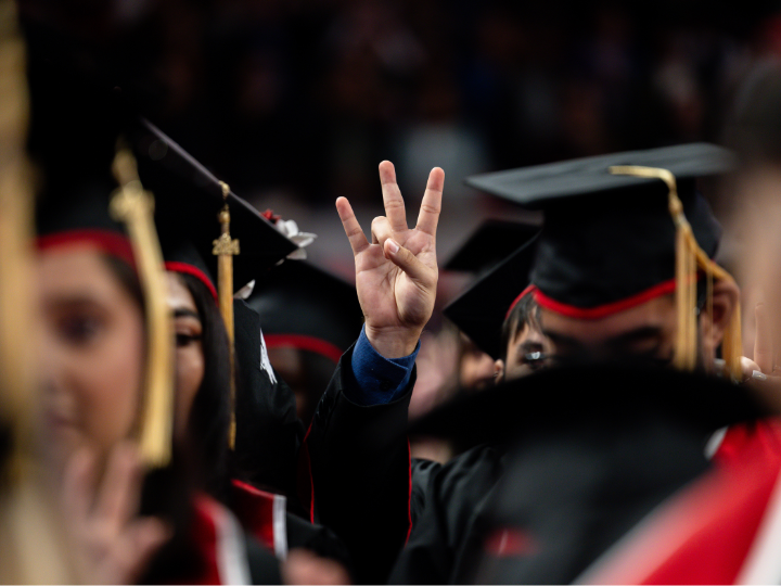 uh graduation coogs sign