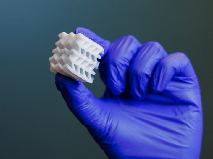 bacterial cellulose sample from maksud rahman