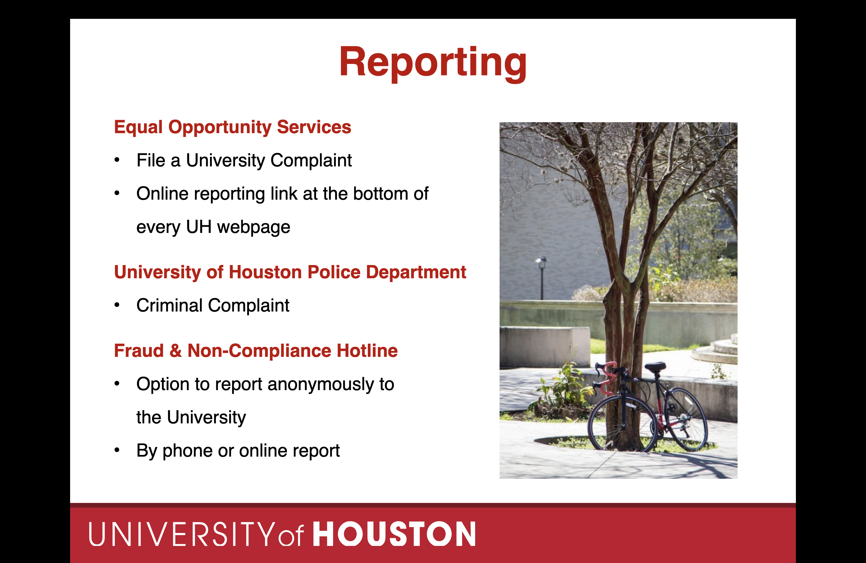 slide 11