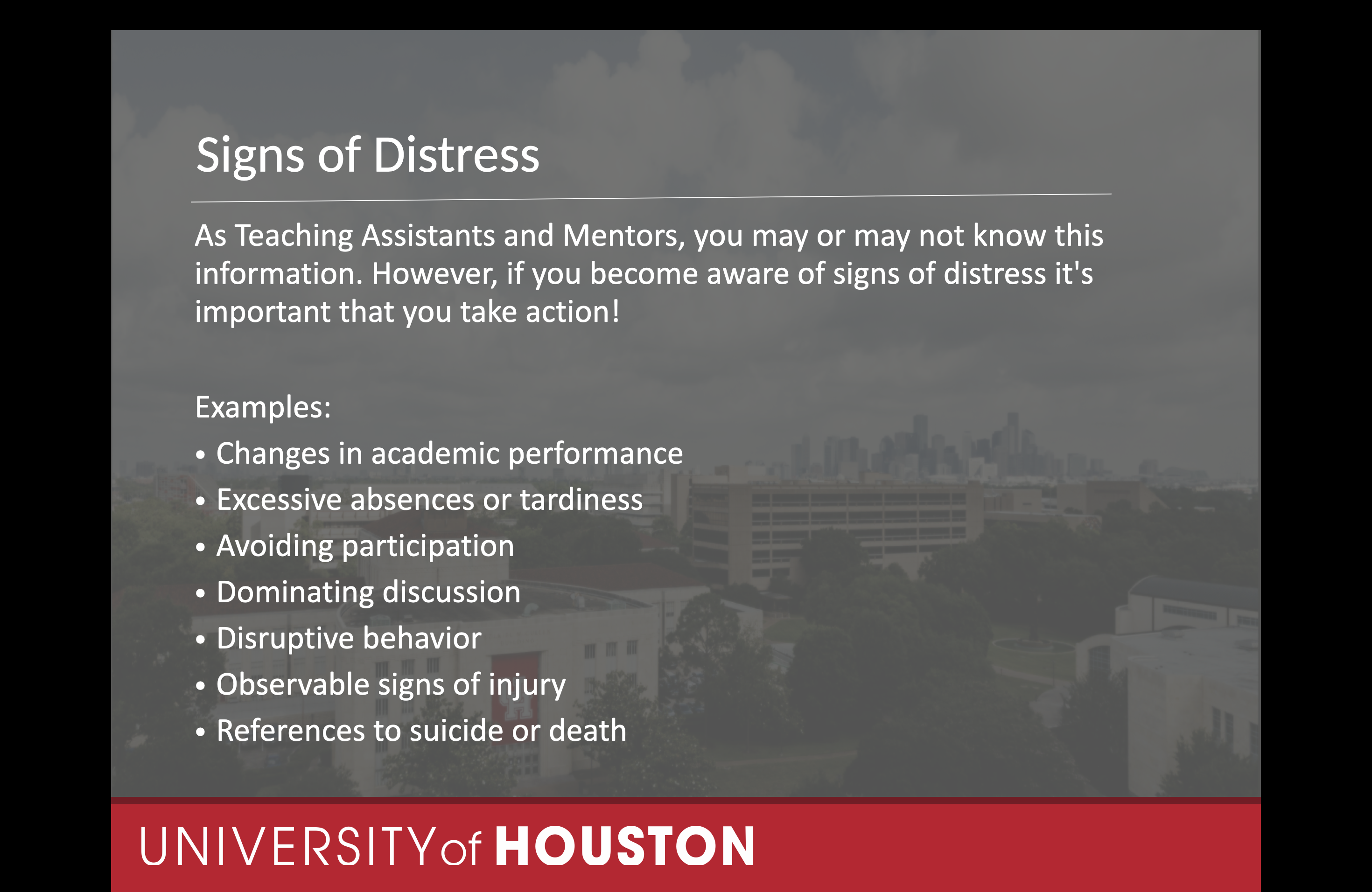 slide 13