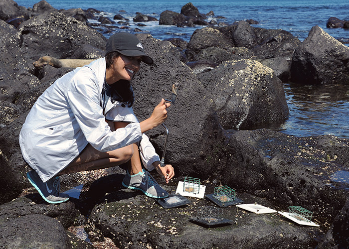 Student working on project to study how increased nutrients affect algae growth.