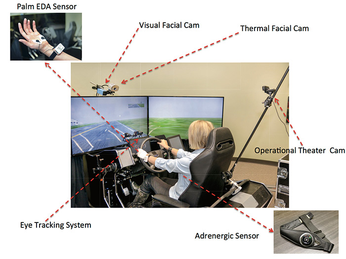 Volunteers Using a Driving Simulator