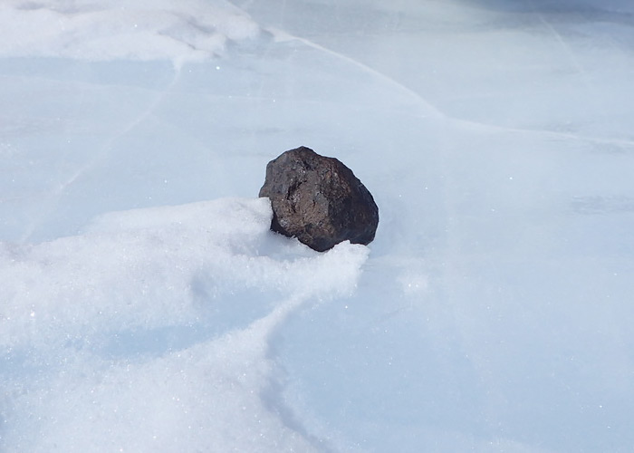 One of the 219 meteorites recovered during the 2016-2017 field season.