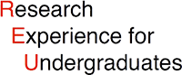 Mathematics Research Experience for Undergraduates