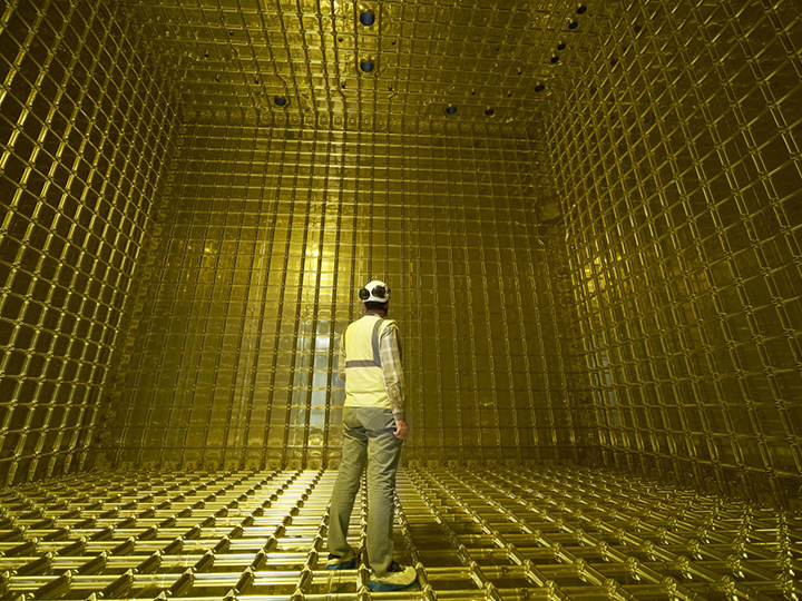 Inside the ProtoDUNE Detector