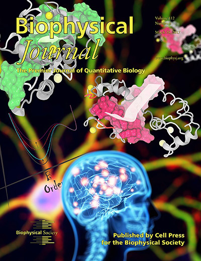 Biophysical Journal