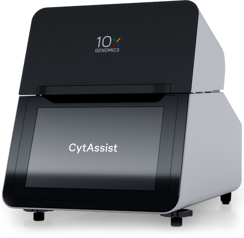 10X Genomics Visium CytAssist