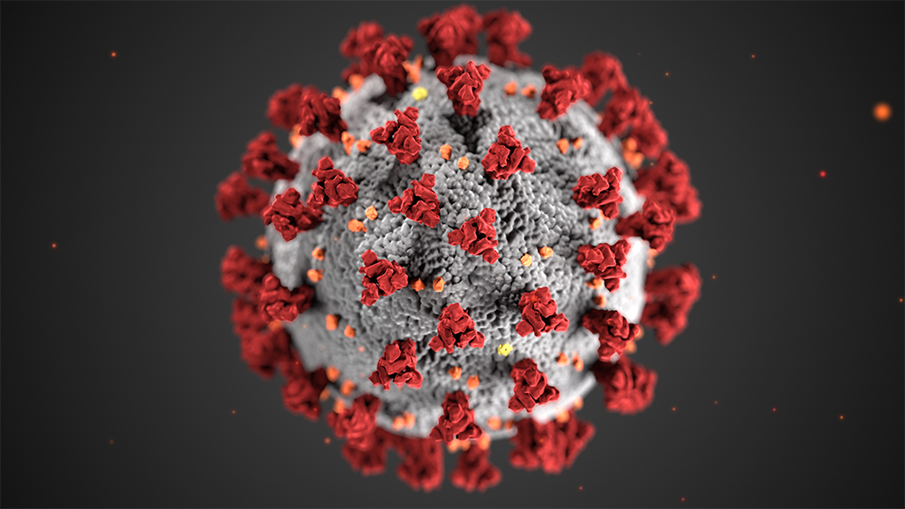 Microscopic view of a spherical virus with triangular protrusions