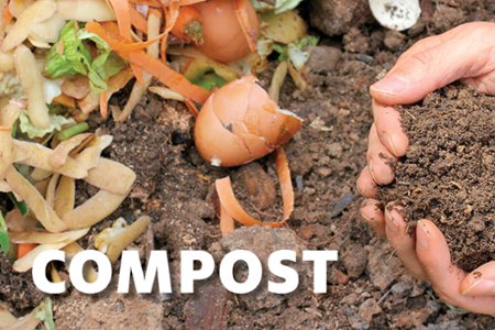 UH Dining Announces Composting Program