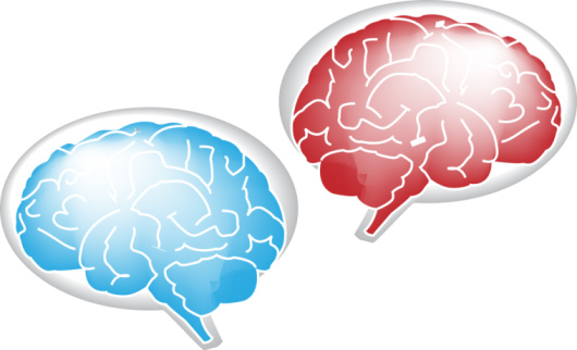 The Bilingual Brain