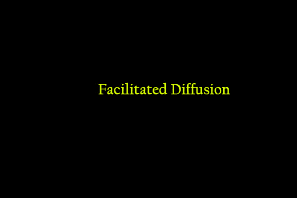 facilitated diffucion