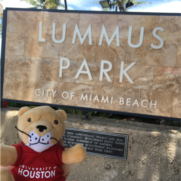 Shasta in the Miami