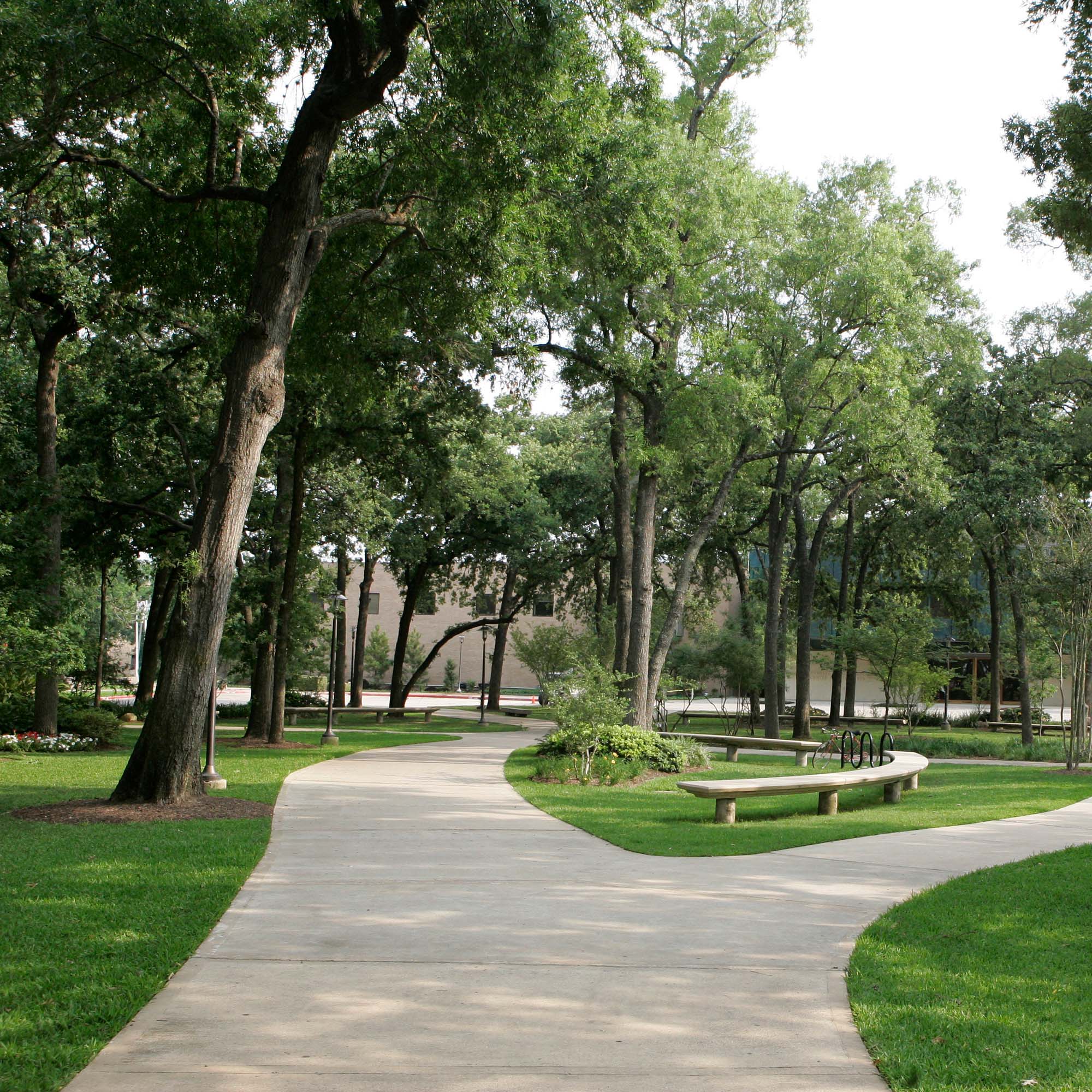 Foundations of Excellence Image