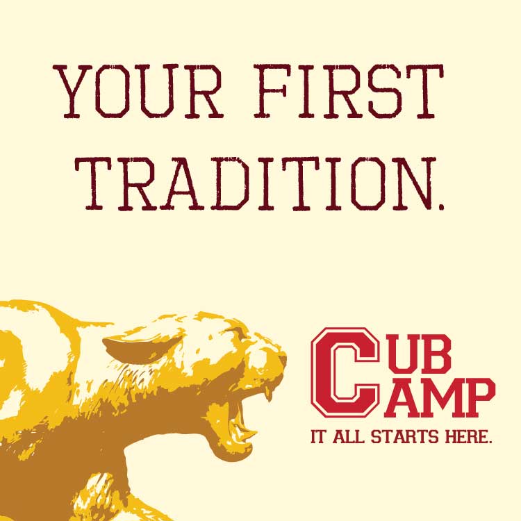 Cub Camp Icon