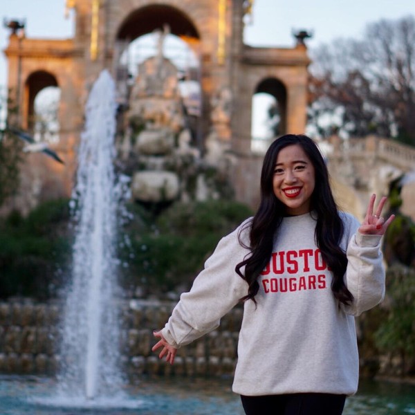 IGE: Mission Vision and Values - University of Houston