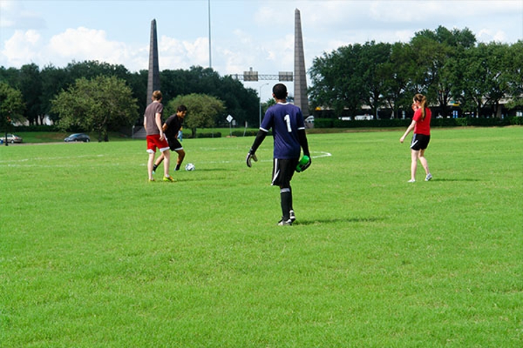 gertner field