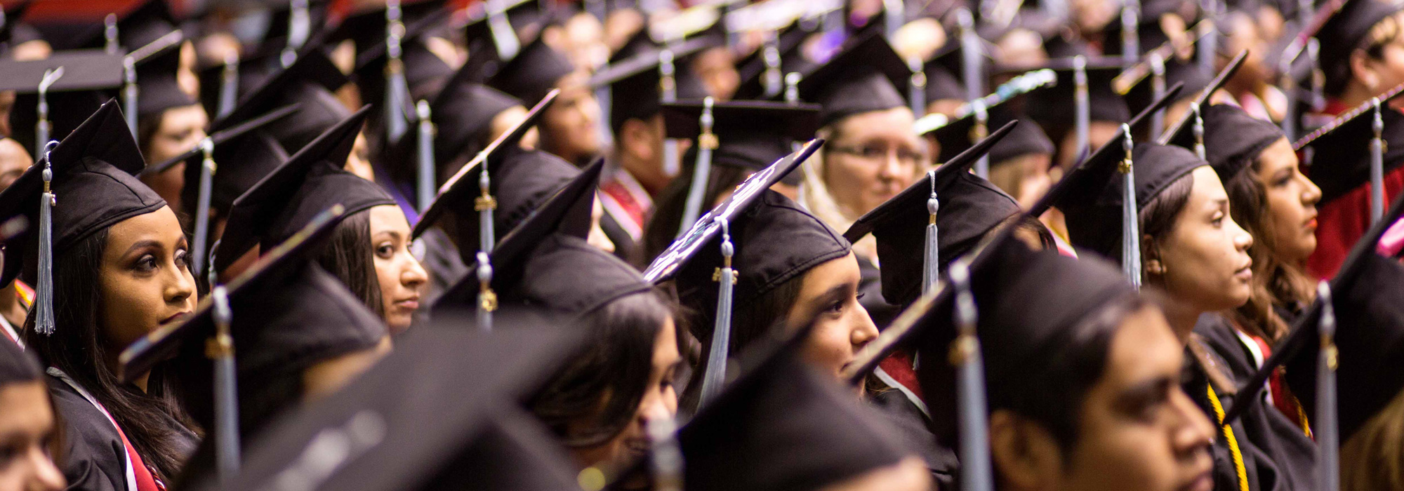 graduation audience