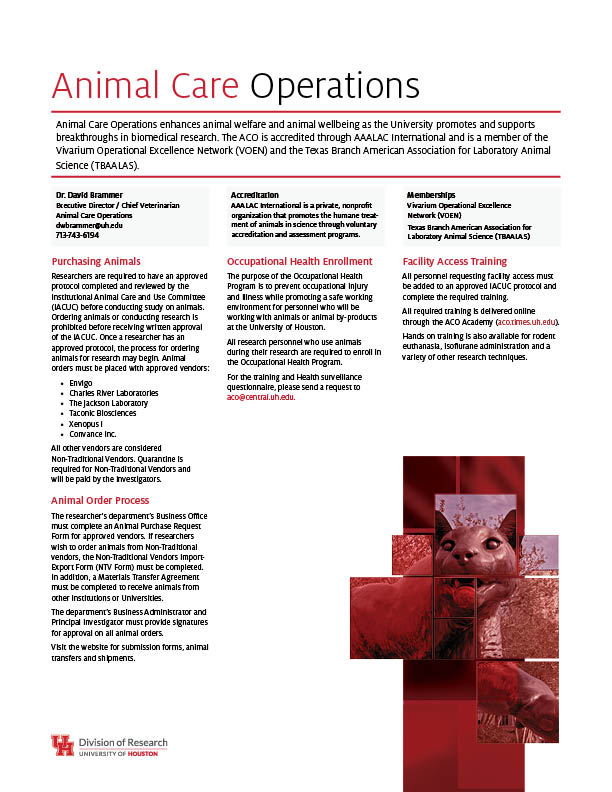 ACO Handout