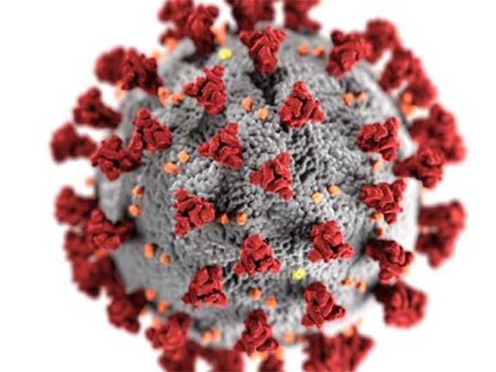 Coronavirus Disease of 2019 (COVID-19) Virus model