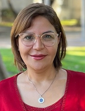 Photo of Payam Hassany