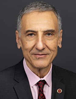 Dr. Amr Elnashai