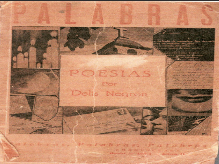 Palabras or Words published Latina/o voices is a publication by Puerto Rican author Delis Negrón and is part of an online digital exhibit. 