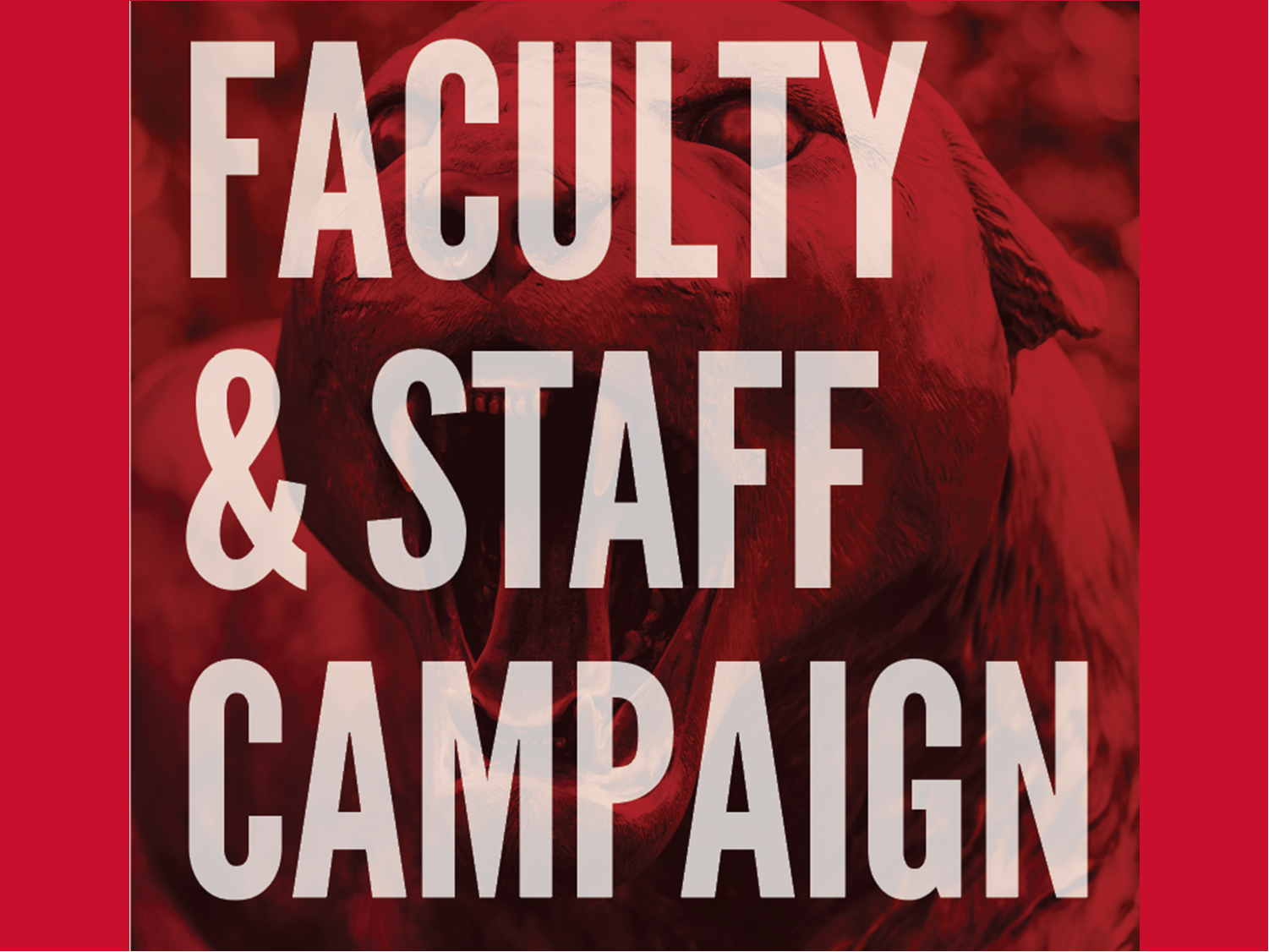 Make a gift to Staff Council today! Support Student Success and Staff Professional Development.