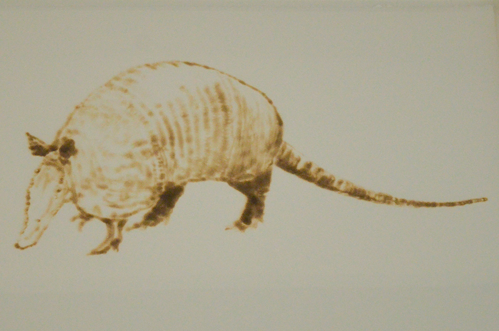 Close-up of burn markings on white paper that resembles an armadillo walking