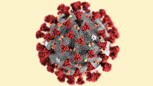 Microscopic view of a gray spherical virus with red triangular envelope proteins protruding around the surface