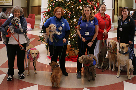 Volunteers with therapy dogs standing in front of a holiday tree